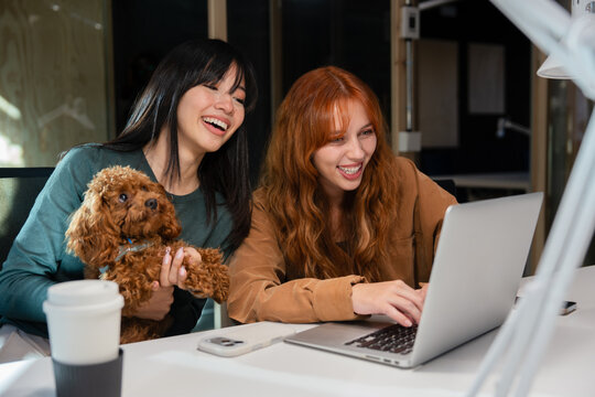 Friends enjoying time with laptop and pet dog