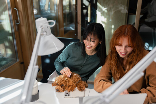 Coworkers collaborating with a dog in modern office