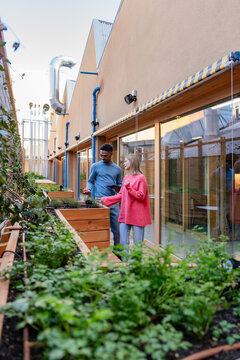 Urban gardening in a rooftop setting with planter boxes
