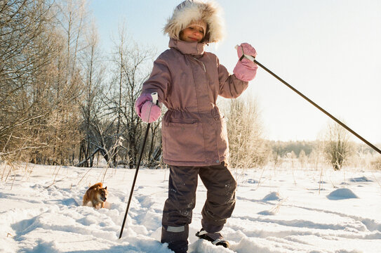 Child and Shiba Inu Skiing Through Snowy Forest