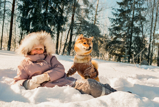 Happy Child and Shiba Dog Resting in Winter Snow