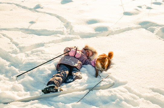 Child Resting in Snow with Shiba Inu After Skiing