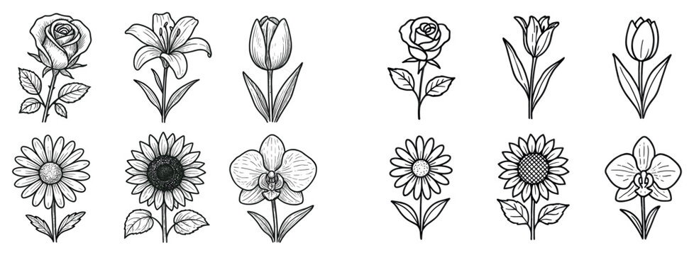 Floral icons with rose tulip daisy outline
