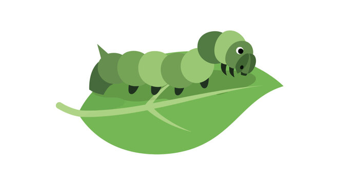 Green Caterpillar on Leaf.