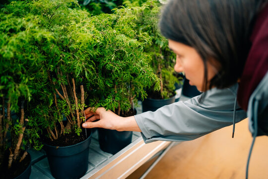 Woman Examines Plants in a Garden Center During Daytime