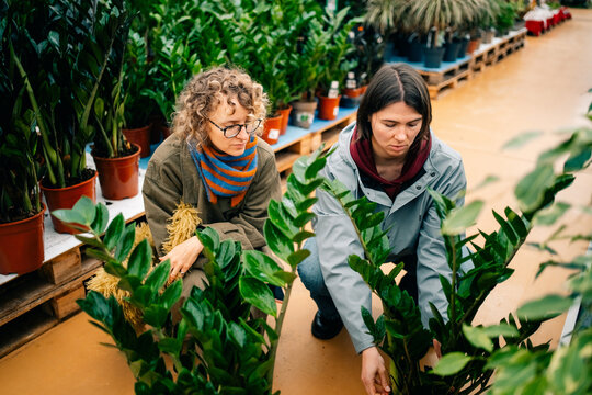 Women Choosing Plants at a Garden Center on a Sunny Day