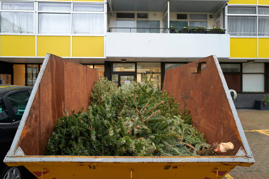 Emptying Green Waste in a City Area on a Clear Day