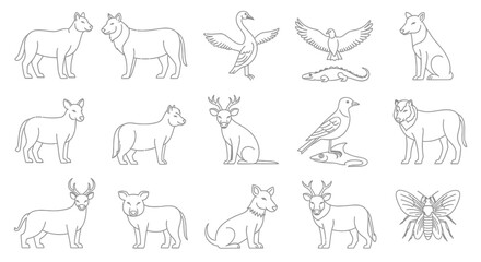 Obraz premium Various Animal Line Drawings.