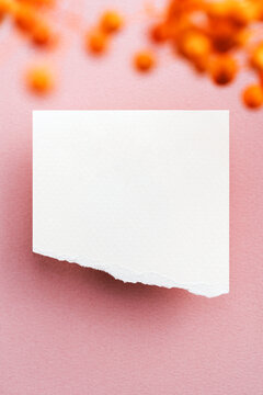 Blank torn paper background with copy space on pink background