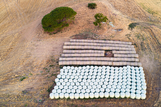 Rows of baled hay, half in plastic storage rap on dry farmland
