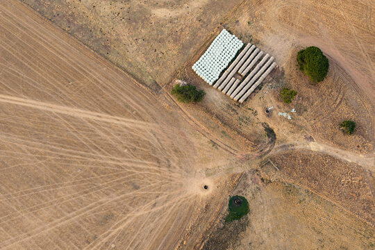 Wheel tracks leading rows of baled hay in the corner of a dry paddock