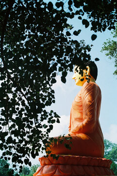 Buddha Statue in a Sri Lankan Temple