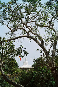 Buddha Statue on the Hill, Mahintale