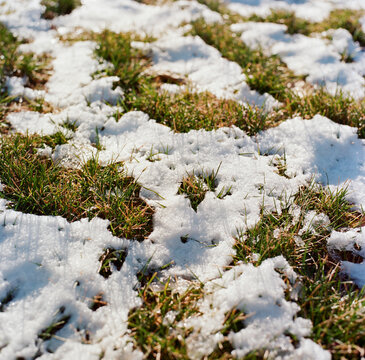 Snow on grass