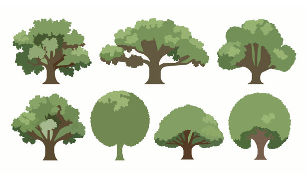 Large garden trees vector shade trees leafy canopy nature illustration