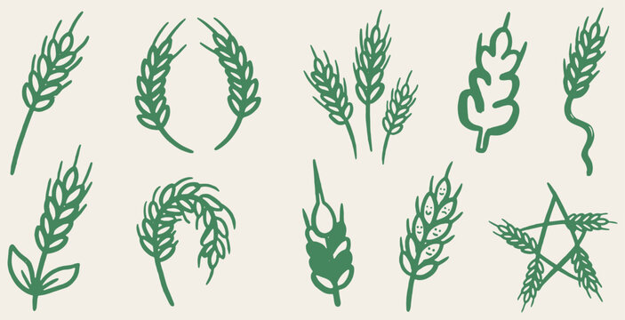 Collection of stylized green wheat ears and grains, isolated on a light background.