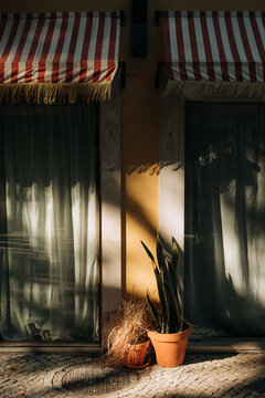 Symmetrical striped awnings on building facade
