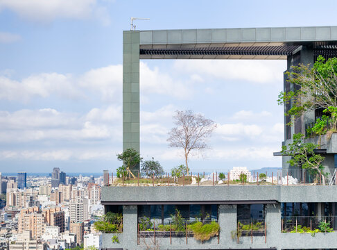 Modern Rooftop Garden with City Skyline and Urban Greenery