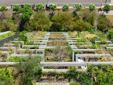 Modern Eco Friendly Building with Lush Terraced Gardens