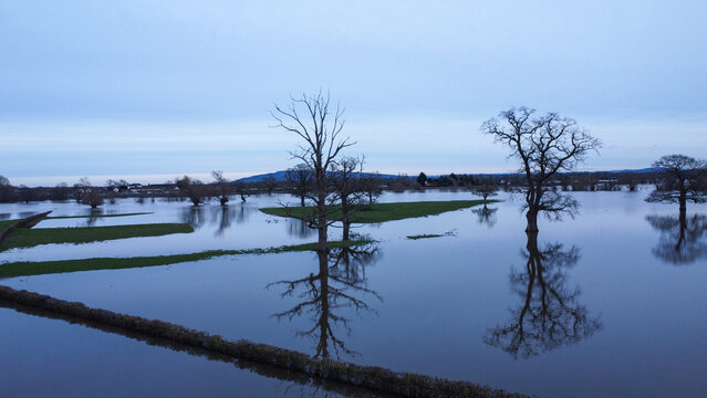 trees reflected in flood water in the countryside in winter