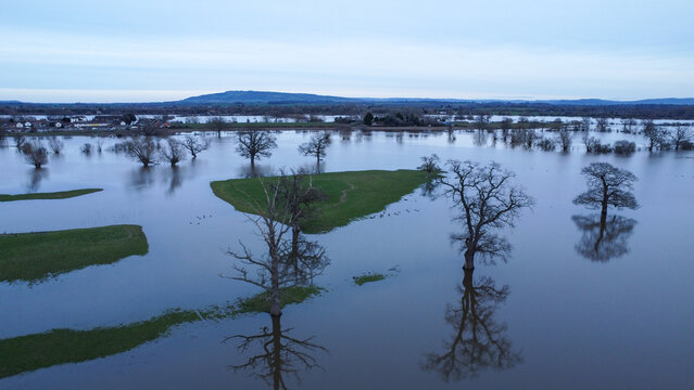 trees reflected in flood water in the countryside in winter