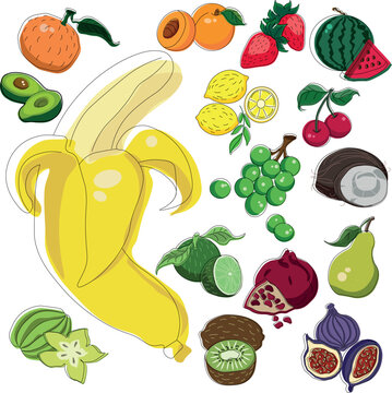 Fresh tropical fruit and vegetables collection, hand draw doodle stickers with offset countour 
