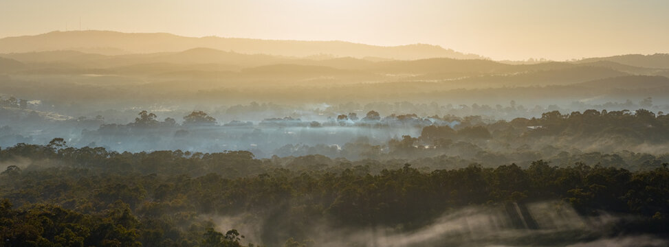Rays of sunlight through morning fog and tree tops over mountains 