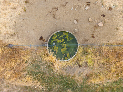 Water trough with green algae stradding a fenceline on dry farmland