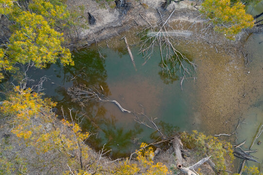 Dead trees fallen around the sides of a pool of water next to a river