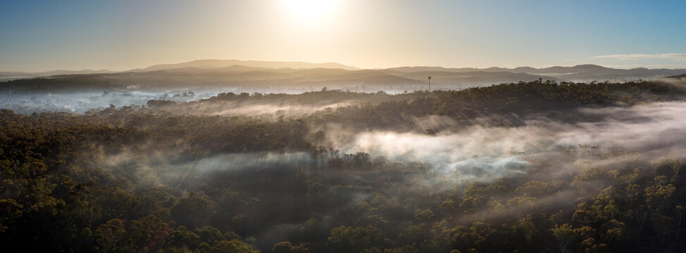 Rays of sunlight through morning fog and tree tops over mountains 