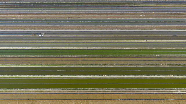 Aerial view of long parallel aquaculture ponds with vibrant green water and a white vehicle parked on a narrow dirt path.