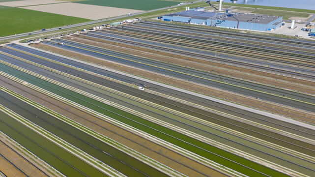 Aerial view of long parallel industrial water basins and a large blue facility building next to green agricultural fields.