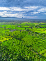 Fototapeta premium Beautiful morning view in Indonesia, panoramic landscape of rice fields with mountain ranges and clear sky