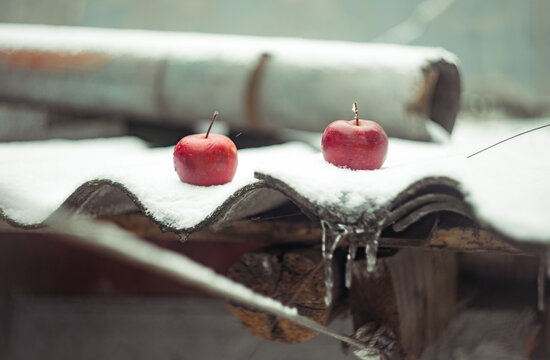 apples on the roof of the house