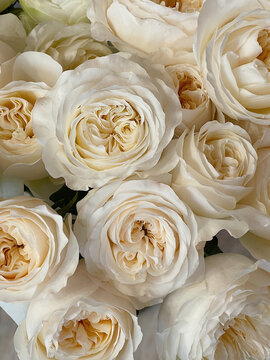 Elegant roses wedding flowers