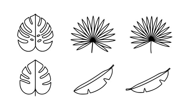 A set of minimalist line art illustrations of leaves and flowers