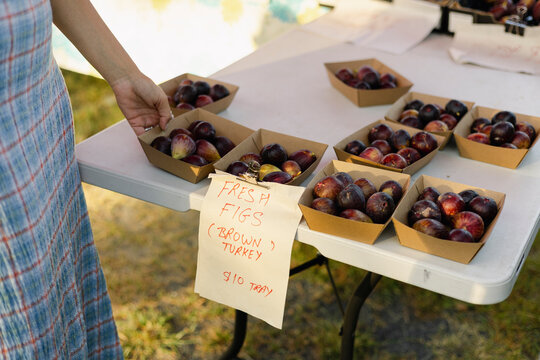 Fresh Figs at Farmers Market Stall in Byron Bay, Australia