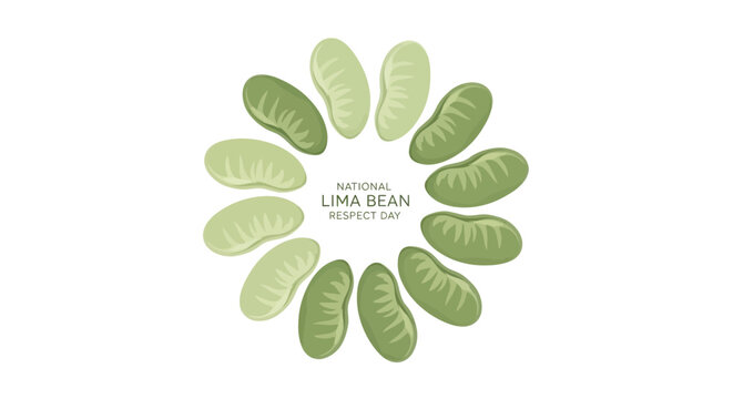 Overhead vector illustration celebrating National Lima Bean Respect Day by arranging several lima beans in a circular design, presented against a clean white background with soft, natural