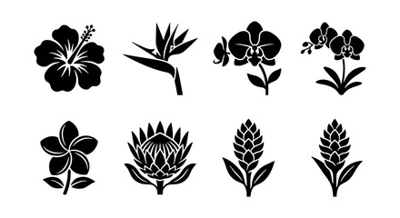 Tropical flower silhouettes, 8 exotic floral icons, black hibiscus and orchid vector set © Nargis