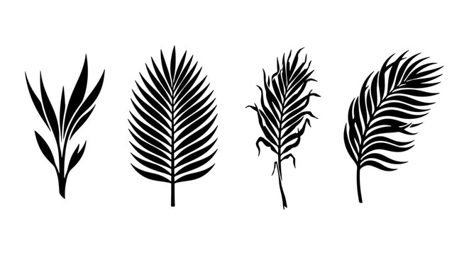 Tropical palm leaf silhouettes, black botanical frond set, 4 vector plant elements