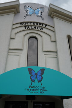 Butterfly Palace, Branson, Missouri, educational and live butterfly walk-through, family-friendly exhibit