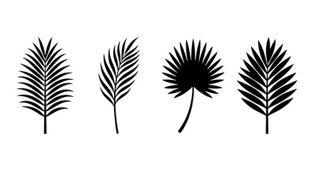 Fototapeta premium Tropical palm leaf silhouettes, 4 black botanical icons, exotic foliage vector set