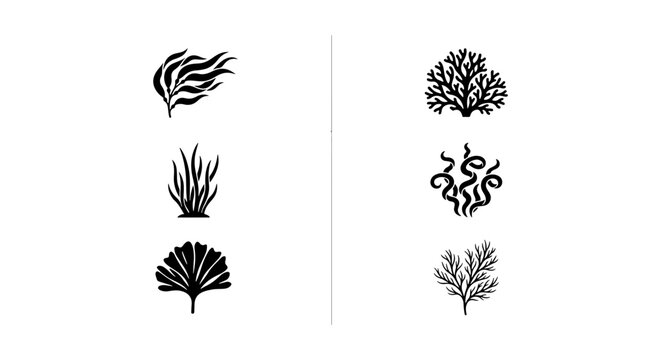 Black seaweed icons set, marine coral silhouettes, underwater plant vector collection