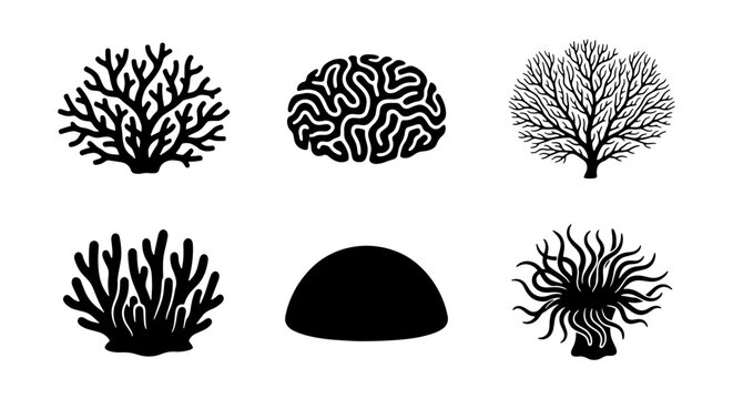 Black coral icons set, underwater sea life silhouettes, 6 marine reef vector elements