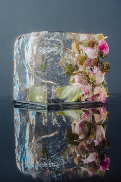 Clear Herbal Floral Ice Reflection
