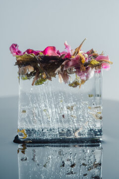 Floral Herbal Ice Cube