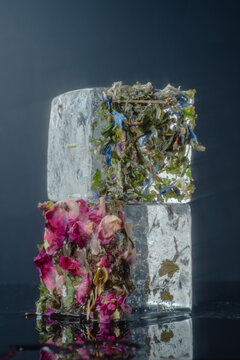 Stacked floral herbal ice cubes
