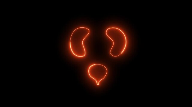 Urinary system organs glowing neon on black background. Cinematic Visualization of Human Renal Papilla Structure and Function.