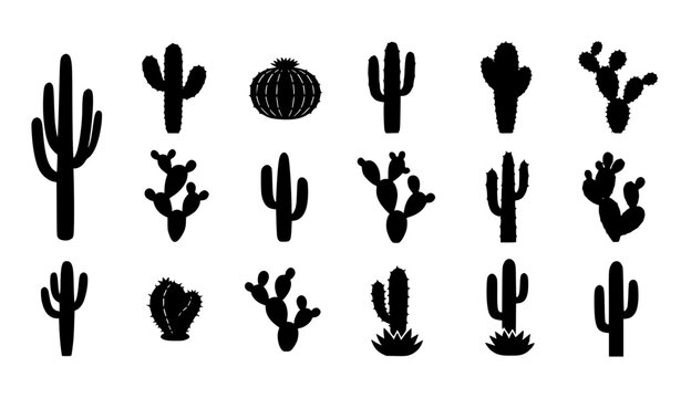 Cactus Silhouette Icon Set with Various Desert Plant Shapes for Nature Design, Western Theme Graphics, Succulent Illustration and Arid Landscape Elements