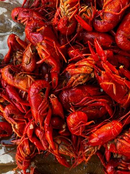 Crawfish Boil